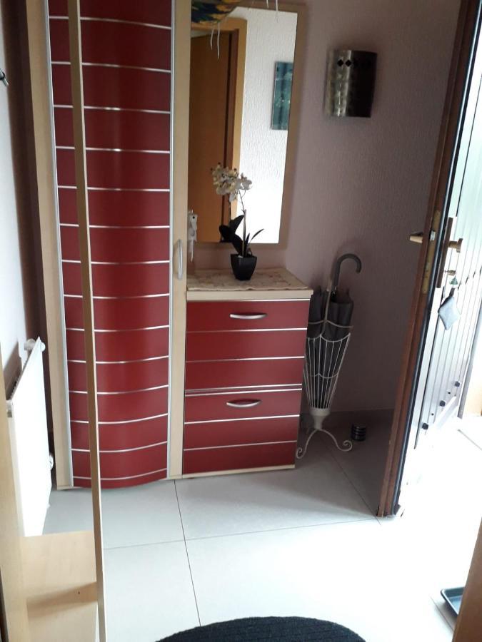 Ferienwohnung Haus Finkbeiner Kniebis Εξωτερικό φωτογραφία