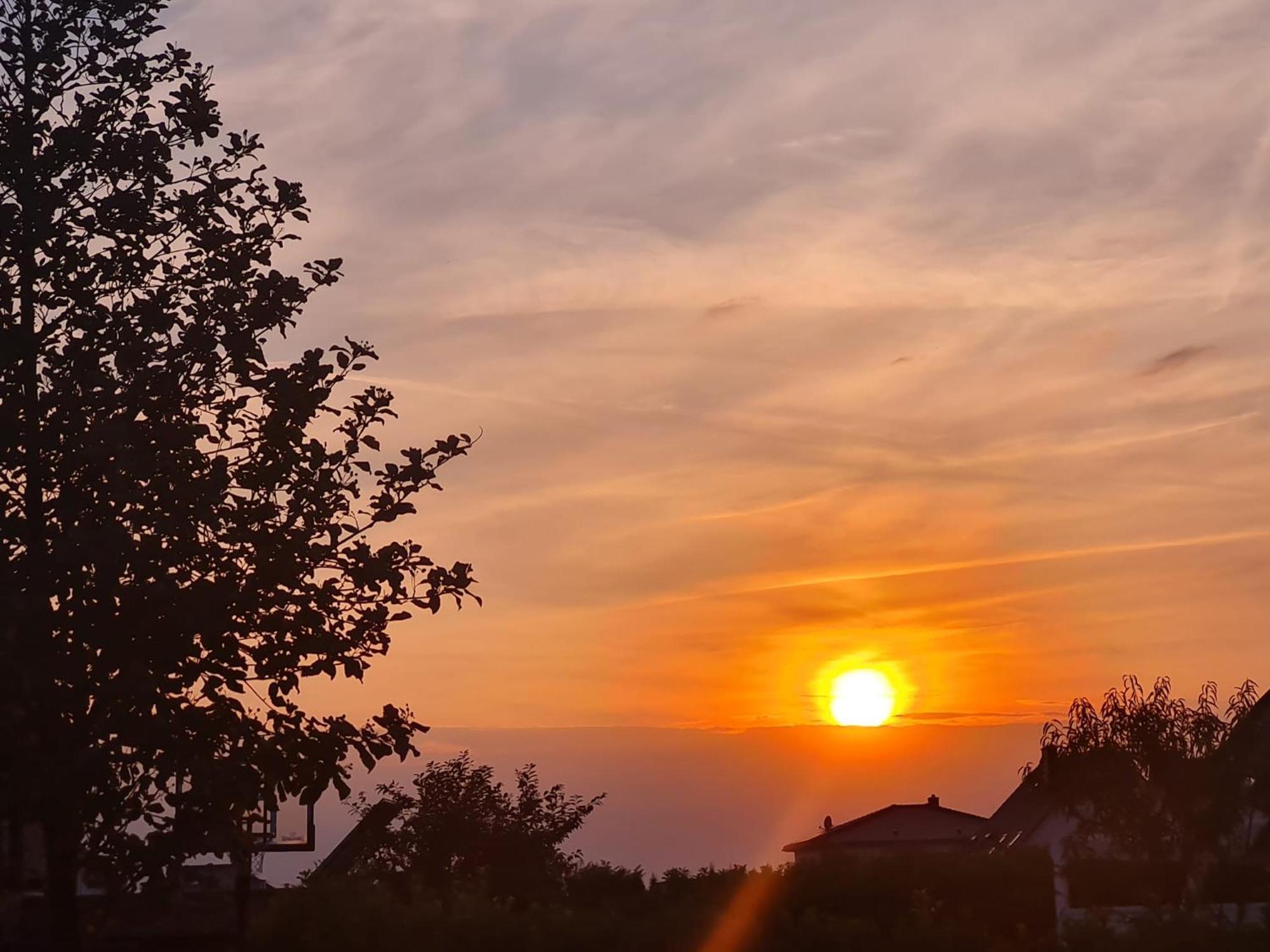 Ferienwohnung Haus Finkbeiner Kniebis Εξωτερικό φωτογραφία
